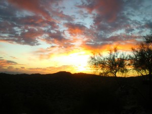 Why I Love Riding in Arizona